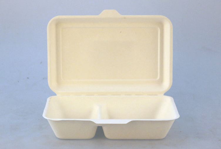 1000ml LUNCH BOX - 2 grid